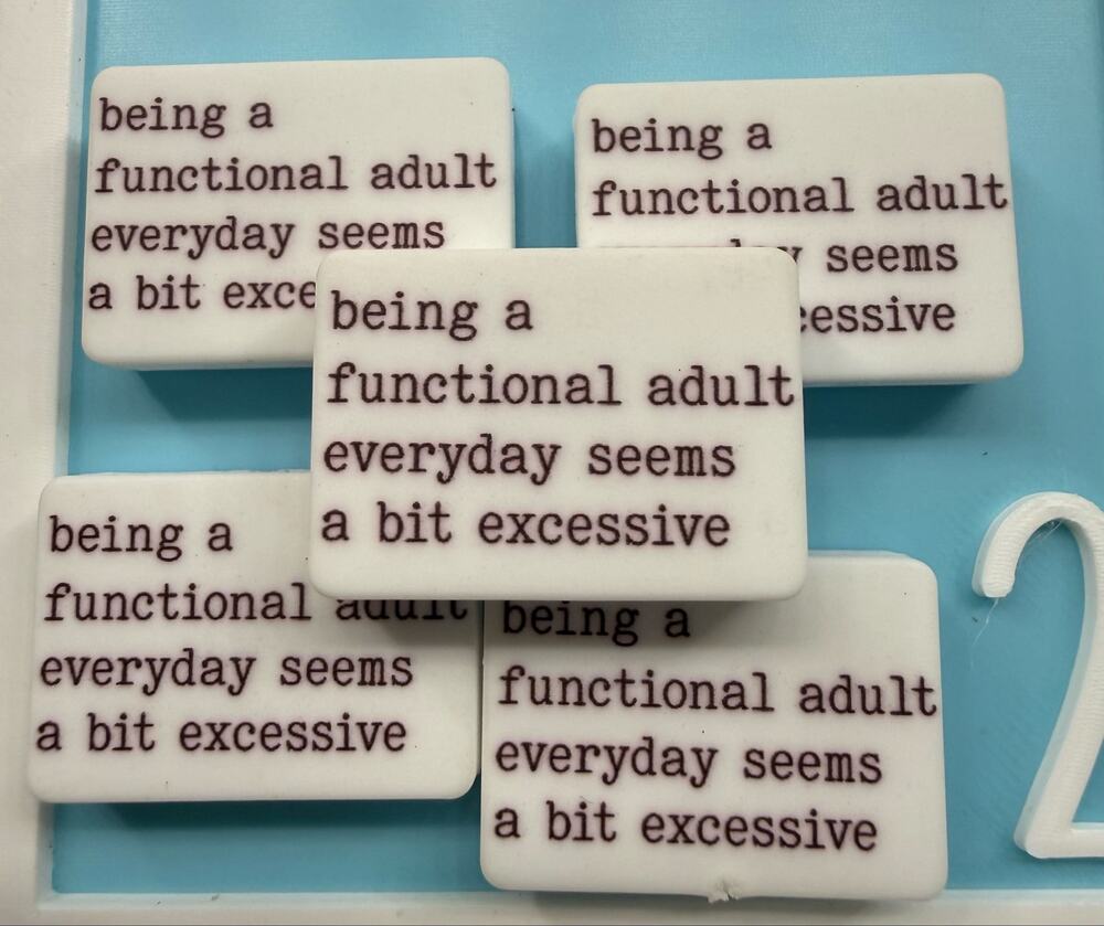 Set of 5 Snarky “Functional Adult” Silicone Focals for Pens Keychains funny